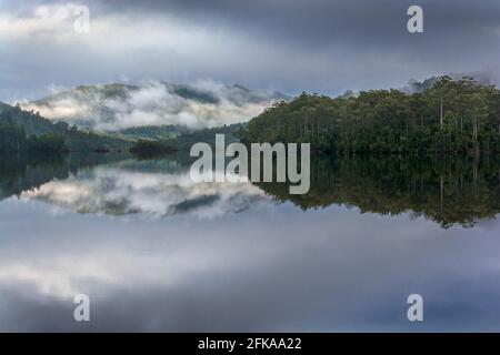 Tasmanien-Reflektion Stockfoto