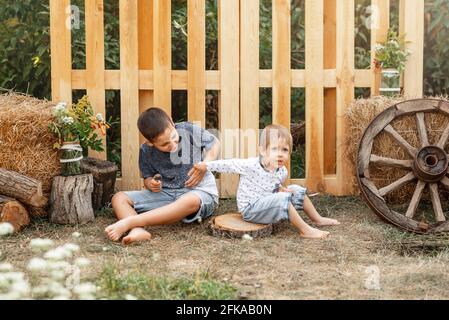 Zwei kleine Kinder im Vorschulalter schlagen sich gegenseitig. Jungen kämpfen. Stockfoto