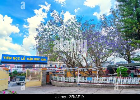 Jacaranda blüht an einem Sommermorgen hell an der High School, wo viele schöne Erinnerungen an Schüler in Da Lat, Vietnam Stockfoto