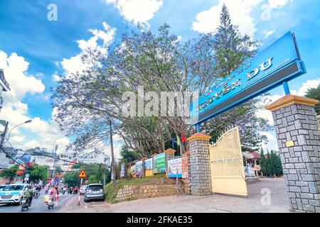 Jacaranda blüht an einem Sommermorgen hell an der High School, wo viele schöne Erinnerungen an Schüler in Da Lat, Vietnam Stockfoto