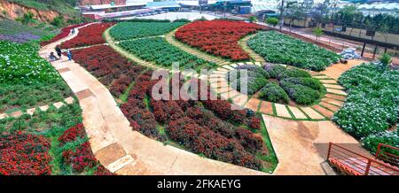 Blumengarten von oben mit vielen lila Lavendelblüten, scharlachroten Salbei, Chrysantheme im Ökotourismus-Gebiet zieht Besucher in der Nähe von Da Lat, Stockfoto