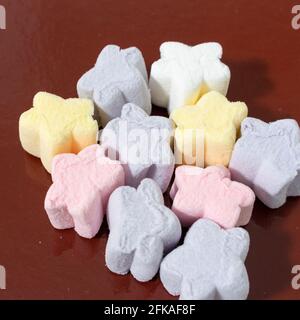 Farbige Sumpfsternchen in Form von Nahaufnahme. Stockfoto