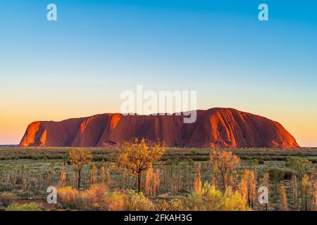 Uluru bei Sonnenaufgang Stockfoto