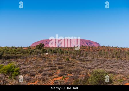 Blick auf den Uluru vom Aussichtspunkt Imalung Stockfoto