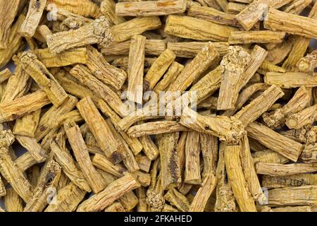 Nahaufnahme der getrockneten Dang shen-Wurzel auch als Tan shen, Danshen, Ginseng des armen Mannes (Codonopsis pilosula, Radix) bezeichnet Stockfoto