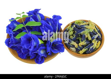 Frische und getrocknete Schmetterlingserbse, Blauerbsenblüten in lila auf Holzschale, isoliert auf weißem Hintergrund (Clitoria ternatea) Stockfoto