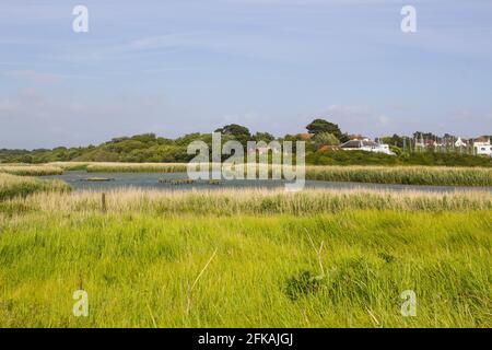 Teil des wunderschönen Naturreservats an der Mündung des Flusses Meon in Hampshire England an einem schönen sonnigen Nachmittag im Juni 2017. Langes Gras, waten Stockfoto