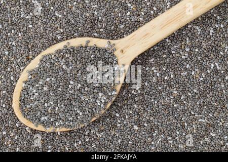 Draufsicht auf einen Holzlöffel voller getrockneter Chia-Samen (Salvia hispanica) auf Chia Hintergrund Stockfoto