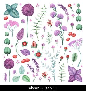 Aquarell Garten Blumen und Kräuter Elemente Set Stockfoto