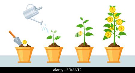 Geldbaum im Topf. Infografik zur Finanzierung des Gewinnwachstums mit Phasen der Pflanzenwachstum-Münzen. Economy Business Investment oder Revenue Vector Konzept Stock Vektor