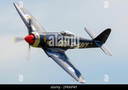 Hawker Sea Fury FB.10 Kampfflugzeug aus dem Zweiten Weltkrieg, das auf einer Flugschau fliegt. F-AZXL in den Farben der Royal Australian Navy. Hawker ISS Fury FB.11 Stockfoto