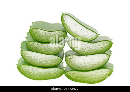Ein Stapel frisch geschnittener Aloe Vera, isoliert auf Weiß Hintergrund Stockfoto