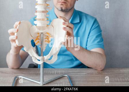 Nahaufnahme der Hand des männlichen Arztes mit dem Scheitelpunkt des Beckens oder Hüftknochen auf einem Skelett-Wirbelsäulenmodell Stockfoto