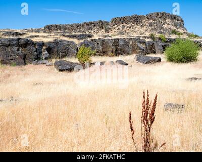 Basaltgestein im Columbia Hills State Park - WA, USA Stockfoto