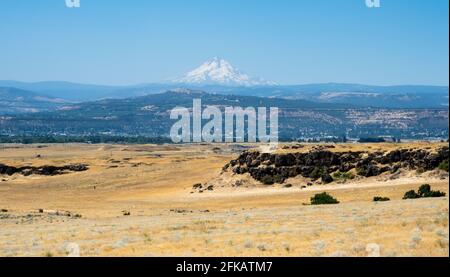 Ackerland in der Columbia River Gorge mit Mount Hood im Hintergrund - Oregon, USA Stockfoto