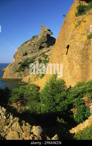 Calanques de Figuerolles La Ciotat Stockfoto
