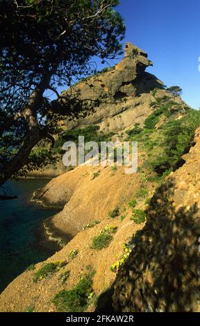 Calanques de Figuerolles La Ciotat Stockfoto