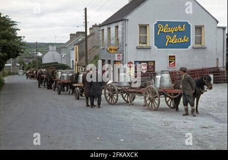 Vor der lokalen Molkerei in der Church Street am Stadtrand von Ennistimon (Ennistymon oder Inis Díomáin), Grafschaft Clare, Irland, bildet sich in den 1960er Jahren eine Schlange. Die Bauern haben ihre Milch für die Verarbeitung in Churns mit dem Wagen, gezogen von Pferd oder Esel gebracht. Esel waren ein häufiger Ort auf Bauernhöfen in Irland. Im Laden neben der Molkerei befindet sich an der Seitenwand ein großes Player-Zigarettenwerbeschild. Das Gelände der Molkerei ist jetzt ein Hofladen. Dieses Bild stammt aus einer alten Amateur-Farbtransparenz – einem Vintage-Foto aus den 1960er Jahren. Stockfoto