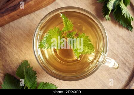 Brennnesseltee in einem Glas Schale Stockfoto