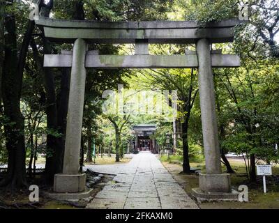 Tokio, Japan - 16. Oktober 2017: Torii-Tore am Eingang zum Akasaka Hikawa-Schrein Stockfoto