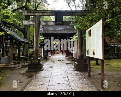 Tokio, Japan - 16. Oktober 2017: Torii-Tore am Eingang zum Akasaka Hikawa-Schrein Stockfoto