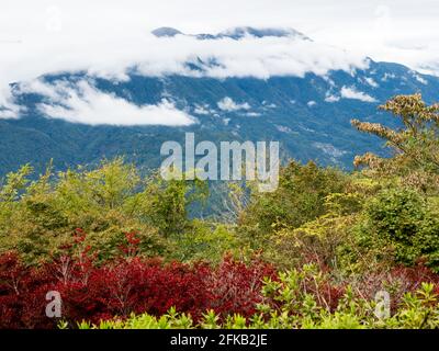 Panoramablick auf die japanischen Südalpen vom Gipfel des Mount Minobu - Präfektur Yamanashi, Japan Stockfoto