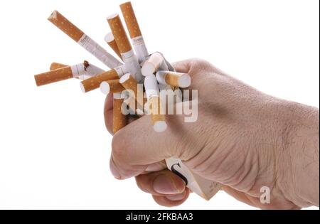 Zerbrochene Zigaretten in einer Hand Stockfoto