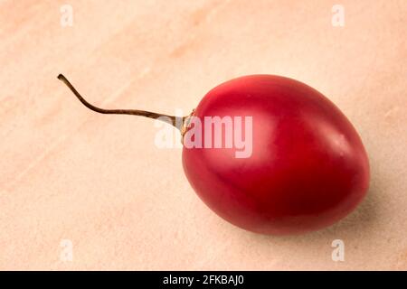 Baumtomate, Tamarillo, Tomate de árbol (Cyphomandra betacea, Cyphomandra crassicaulis), einzelne Frucht auf einem Holztisch Stockfoto