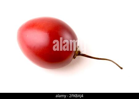 Baumtomate, Tamarillo, Tomate de árbol (Cyphomandra betacea, Cyphomandra crassicaulis), einzelne Frucht, Ausschnitt Stockfoto