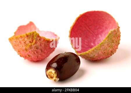 Litchi (Litchi chinensis), Haut mit Samen Stockfoto