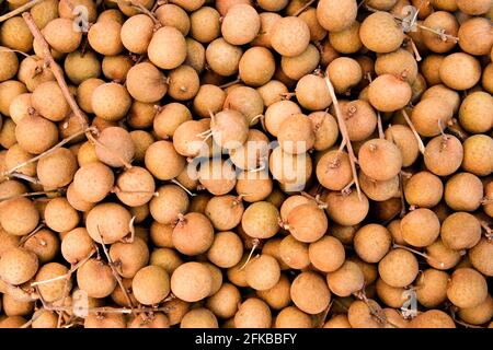 Longan (Dimocarpus longana), frische Longan-Früchte Stockfoto