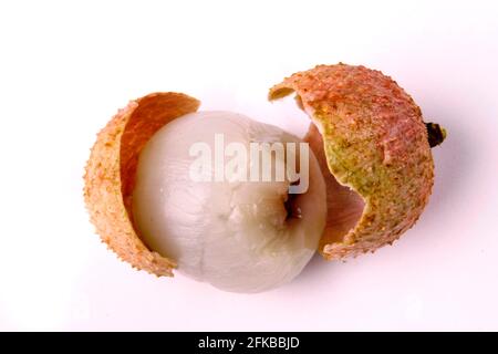 Litchi (Litchi chinensis), geöffnete Einzelfrucht, ausgeschnitten Stockfoto