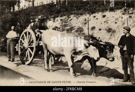 SAINTE-FEYRE. Französisch Abteilung: 23 - Creuse. Region: Nouvelle-Aquitaine (ehemals Limousin). Postkarte Ende des 19. Jahrhunderts - Anfang des 20. Jahrhunderts Stockfoto