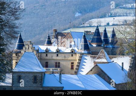 Mystische Burg in frankreich, Nahaufnahme High Shot Stockfoto