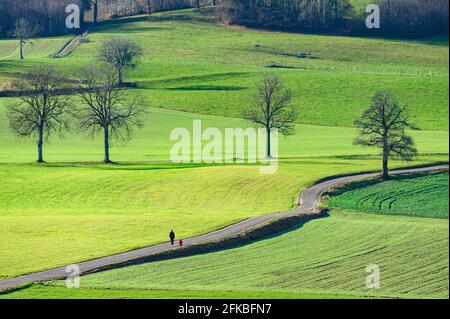 Luftdrohne, die einen Mann und ein Kind angeschossen hat, die auf einem Pfad durch die grünen Felder gehen. Stockfoto
