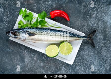 Rohe Makrele auf dunklem Schiefertisch - Ansicht von oben Stockfoto