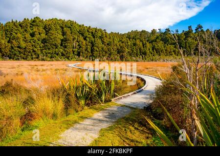 Okarito Board Walk Neuseeland Stockfoto