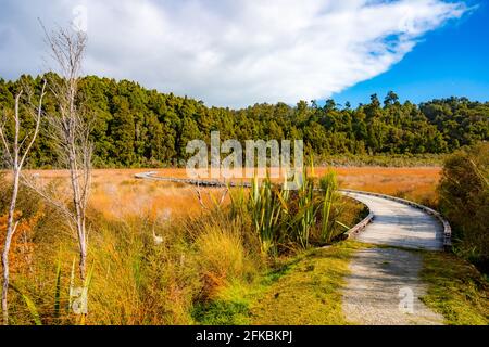 Okarito Board Walk Neuseeland Stockfoto