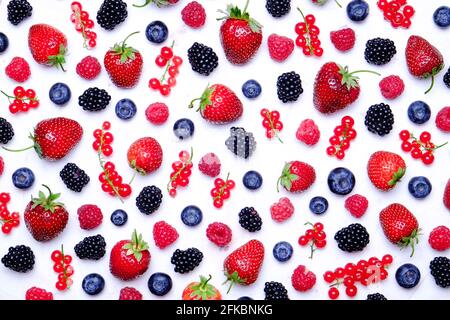 Ein Haufen gemischter Beeren im Erntestapel auf weißem Hintergrund. Farbenfrohe Komposition mit frischen Bio-Erdbeeren, Heidelbeeren, Brombeeren und roten Johannisbeeren. Cl Stockfoto