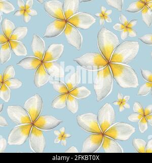 Hawaiianische Blumen. Nahtloses Blumenmuster. Aquarelldarstellung. Handzeichnung Stockfoto