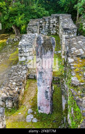 Calakmul, UNESCO-Weltkulturerbe, Campeche, Mexiko, Nordamerika Stockfoto