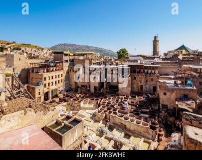 Merveilles de Cuir Tannery in der alten Medina, erhöhte Ansicht, Fes, Fez-Meknes Region, Marokko, Nordafrika, Afrika Stockfoto