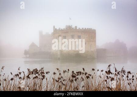 Nebliger Tag im Park um Leeds Castle, Kent, England, Großbritannien, Europa Stockfoto