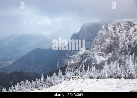 Ceahlau Massiv im Winter, Ostkarpaten, Neamt County, Moldawien, Rumänien, Europa Stockfoto