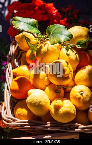 Frischer lokaler Zitronenkorb in Manarola in Cinque Terre, Provinz La Spezia, in der Region Ligurien in Italien, Europa Stockfoto