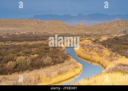 Rio Grande River in goldenen Gräsern mit Chisos Mountains im Hintergrund, Big Bend National Park, Texas, Vereinigte Staaten von Amerika, Nordamerika Stockfoto