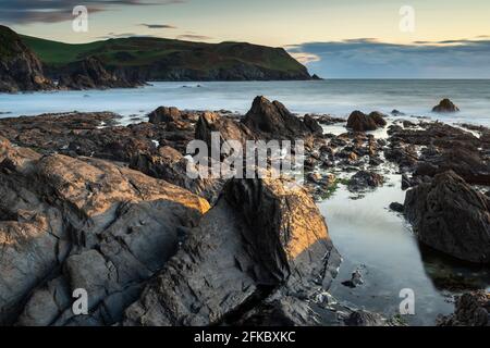 Abendsonne an den felsigen Ufern von Hope Cove, Devon, England, Großbritannien, Europa Stockfoto
