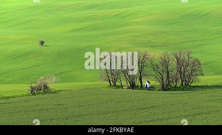 Wunderschöne Frühlingslandschaft. Kapelle der heiligen Barbara auf dem Feld mit Wellen - Mährische Toskana Tschechische Republik. Stockfoto