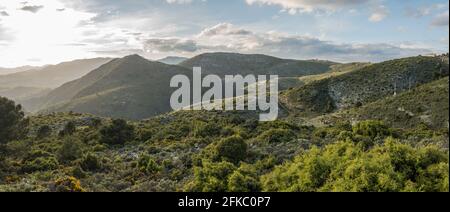 Sierrania de Ronda, Hochkalkgebirge, Andalusien, Malaga, Südspanien. Stockfoto