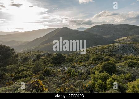 Sierrania de Ronda, Hochkalkgebirge, Andalusien, Malaga, Südspanien. Stockfoto